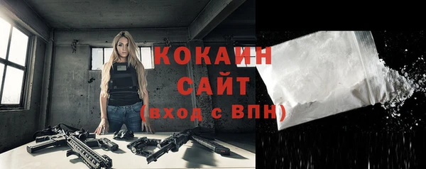 индика Аркадак