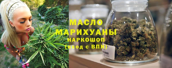 индика Аркадак