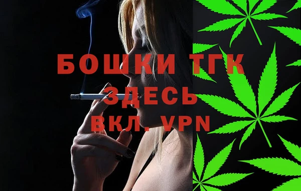 индика Аркадак