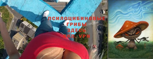 мдпв Арсеньев