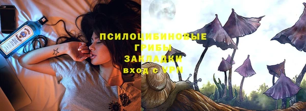 индика Аркадак